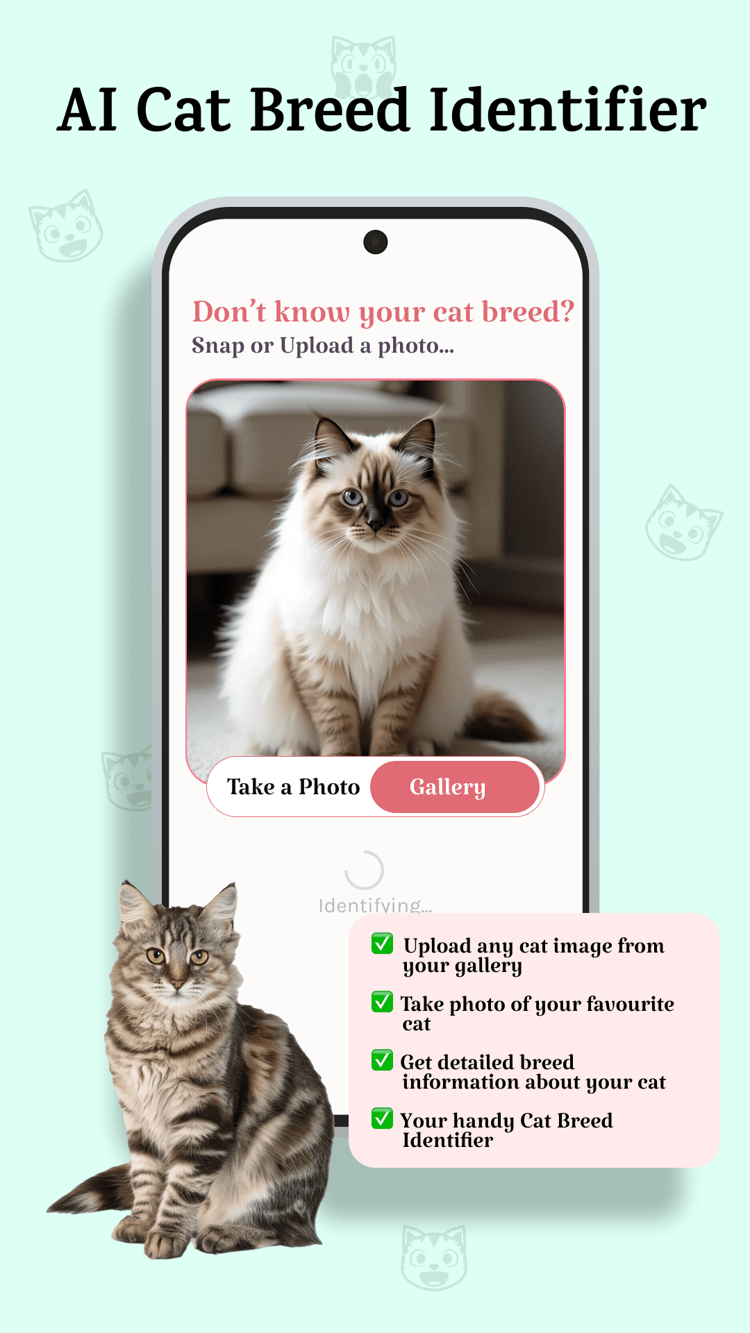 Catsy AI Cat Breed Identifier App Screenshot